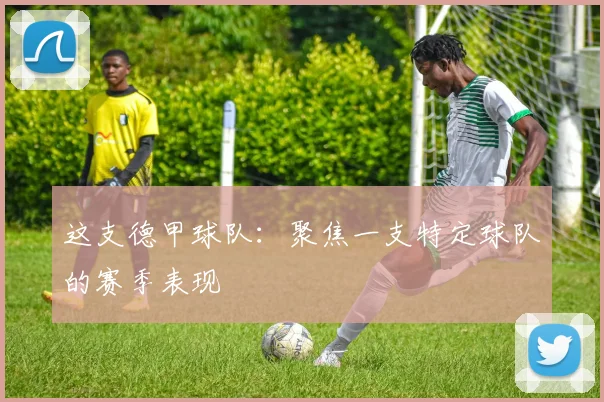 这支德甲球队：聚焦一支特定球队的赛季表现